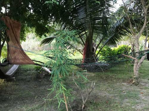 Bed & Breakfast Nethu Villa
