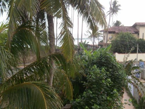 Hostal Nethu Freedom Cottage