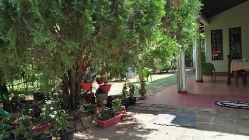 Hostal Madushanki Family Guest