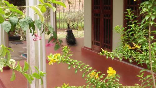 Hostal Madushanki Family Guest