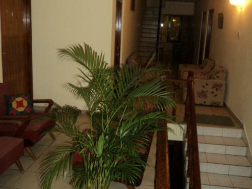 Hostal No395