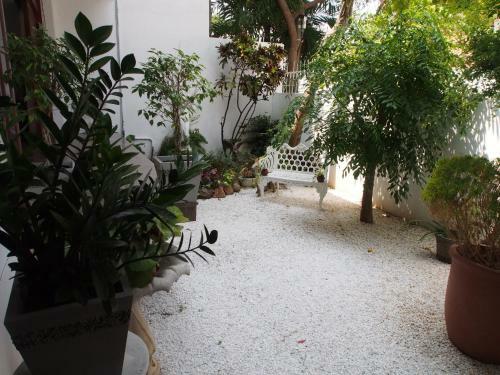 Hostal Cool Colombo7