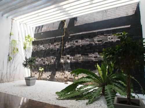 Hostal Cool Colombo7