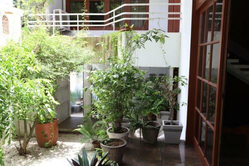 Hostal Cool Colombo7