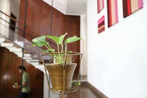 Hostal Cool Colombo7