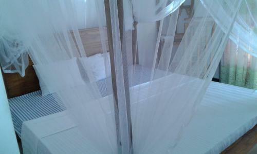 Hostal Green View Guest