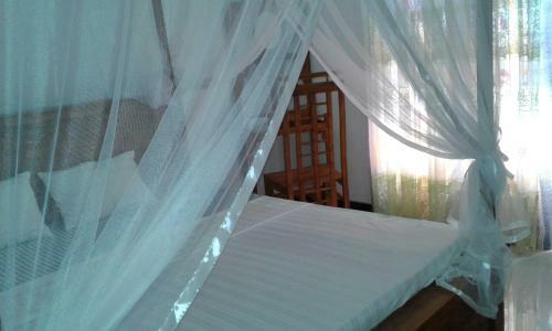 Hostal Green View Guest