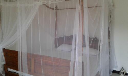 Hostal Green View Guest