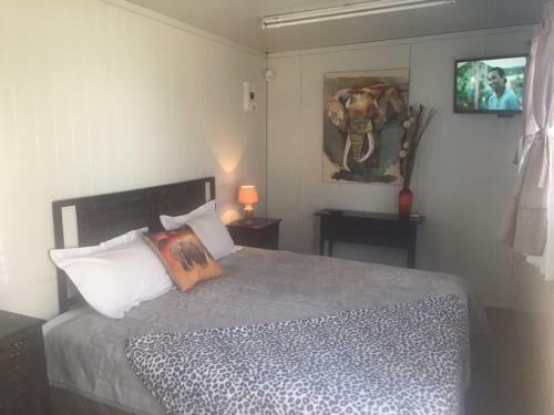 Hostal Elephant Lodge Guesthouse