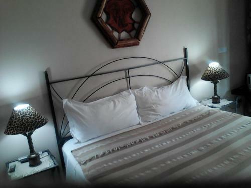 Hostal Elephant Lodge Guesthouse