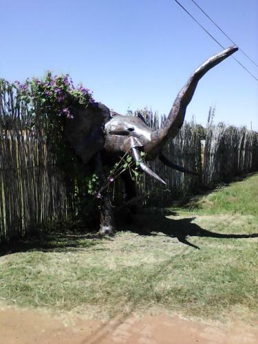 Hostal Elephant Lodge Guesthouse