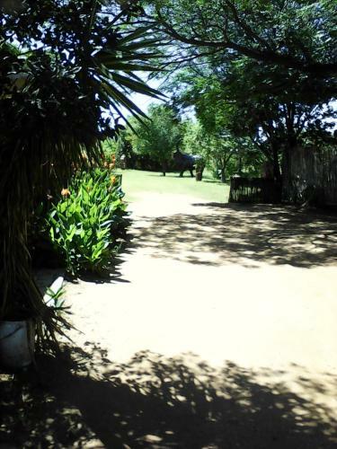 Hostal Elephant Lodge Guesthouse