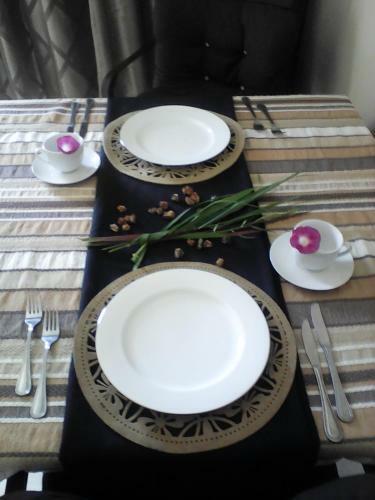 Hostal Elephant Lodge Guesthouse