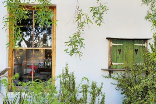 Hostal Aloe Guest House