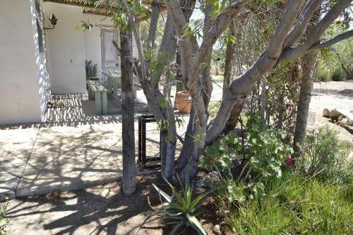 Hostal Aloe Guest House