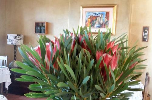 Hostal Bucaco Sud Guest House