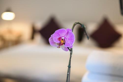 Hostal 51 On Camps Bay