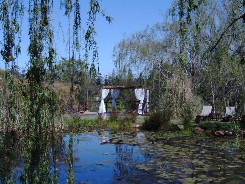Hostal Rothman Manor