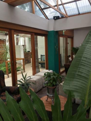 Hostal Little Scotia Urban Hotel