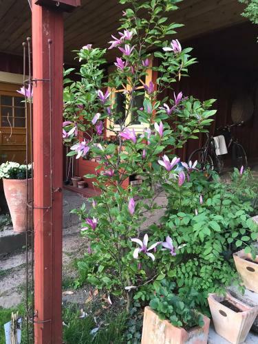 Apartamento Kyrkstallet