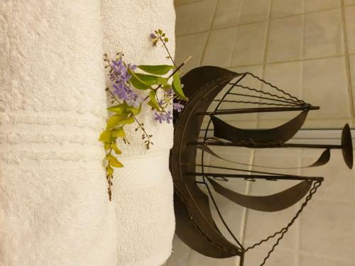 Hostal @belurana River Manor