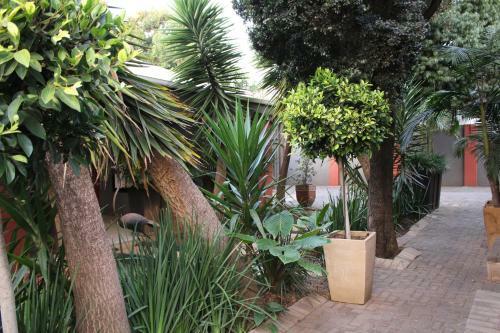Hostal Saffron Guest House