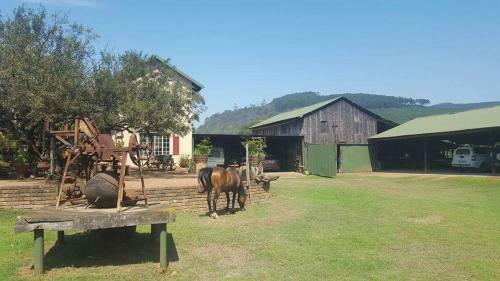 Apartamento Thandamanzi Self Catering