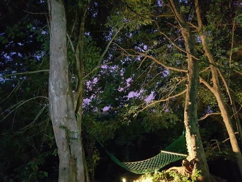 Hotel Green House Resort