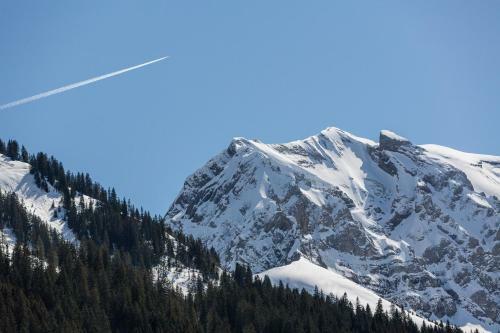 Hotel Des Alpes