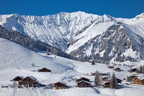Hotel Des Alpes
