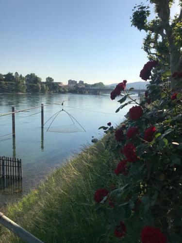 Apartamento Rhein Promenade