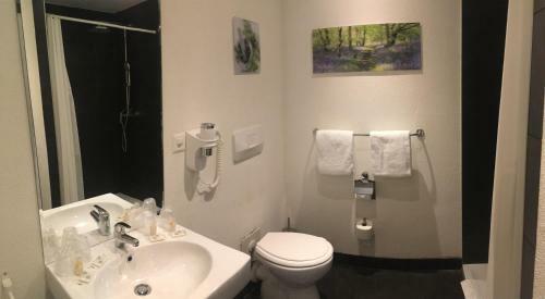 Hotel Parc & Lac