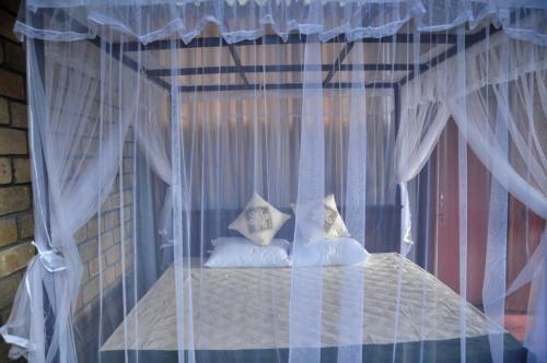 Villa Fish Island