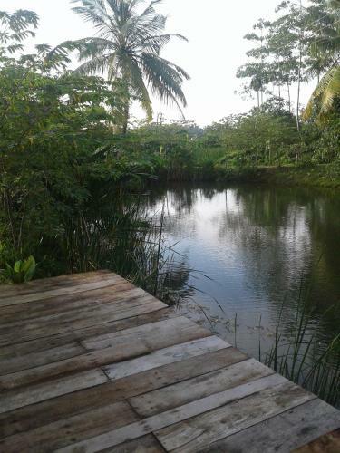 Villa Fish Island
