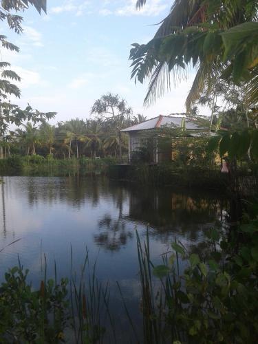 Villa Fish Island