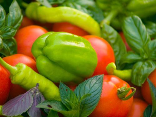 Gartenhotel & Weingut Pfeffel D�rnstein