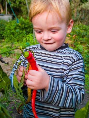 Gartenhotel & Weingut Pfeffel D�rnstein