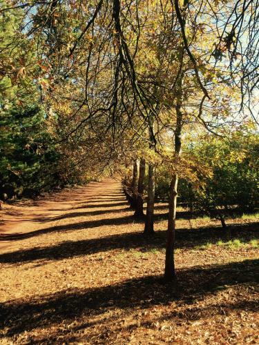 Agroturismo Cheverells Farm