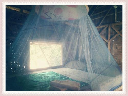 Hostal Bamboo Hut Bangalow