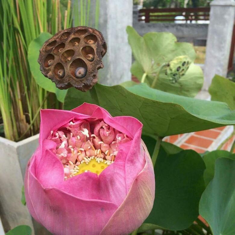 Hotel Arthaya Villas