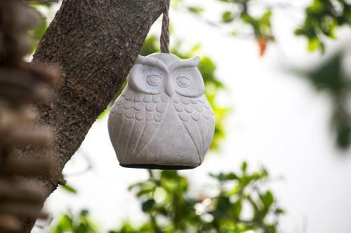 Hostal Pearl Moon Boutique Suites