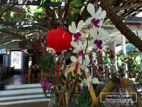 Hostal Patty's Secret Garden