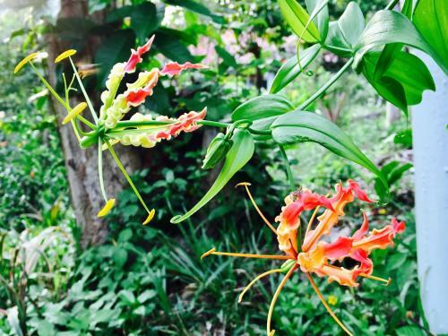 Hotel Oon Lee Bungalows