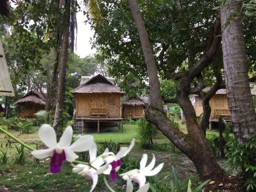Koh Mook Coco Lodge
