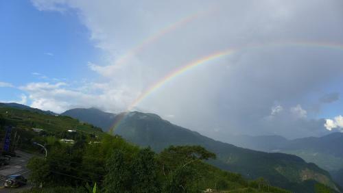 Alishan Tea Homestay