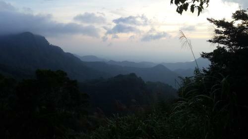 Alishan Tea Homestay