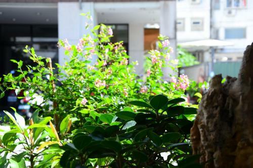 East Love Homestay