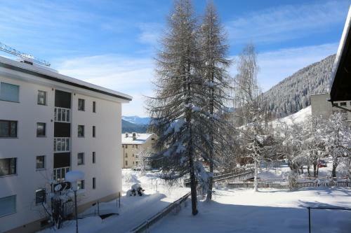 Apartamentos Haus Pyrola