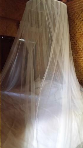 Hostal Honey Land