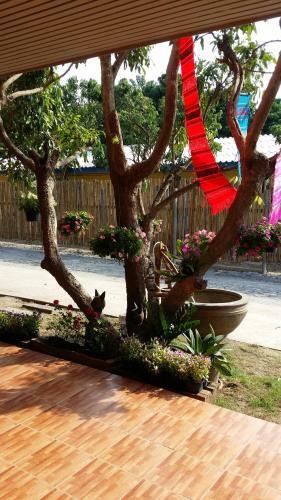 Hostal Honey Land
